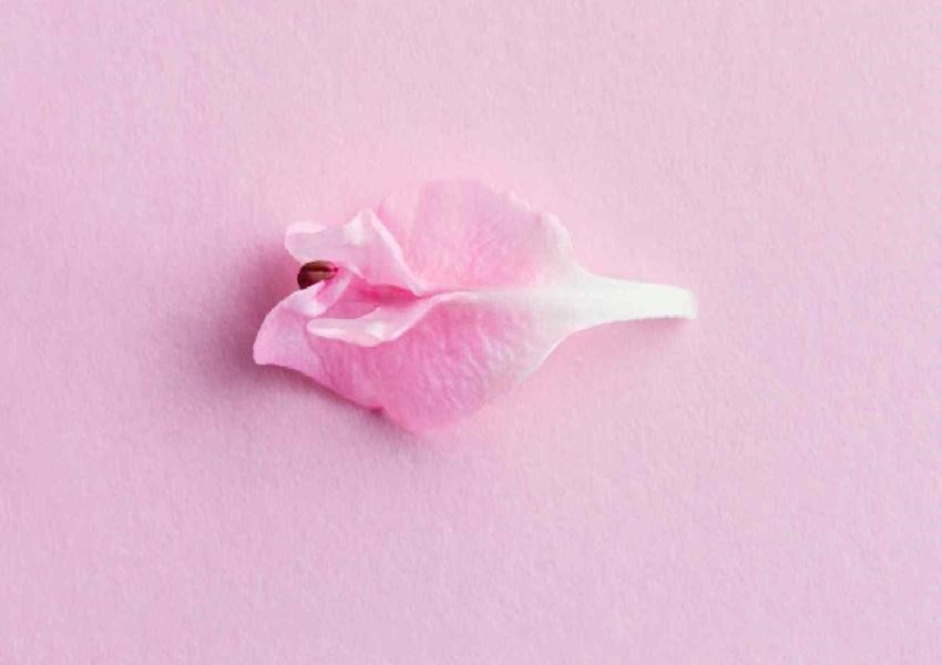 سفید کردن واژن در کلینیک نلارا