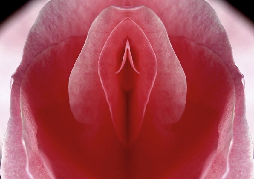 چگونگی عمل لابیاپلاستی_3