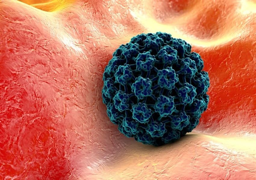 علت زگیل تناسلی چیست؟ _3